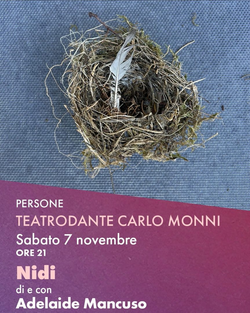 Locandina: Nidi